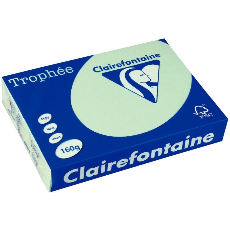 Paquet de 250 feuilles format A3 160g vert CLAIREFONTAINE