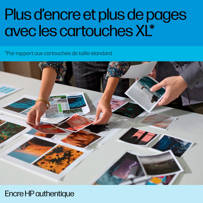 HP 300 cartouche d'encre trois couleurs authentique