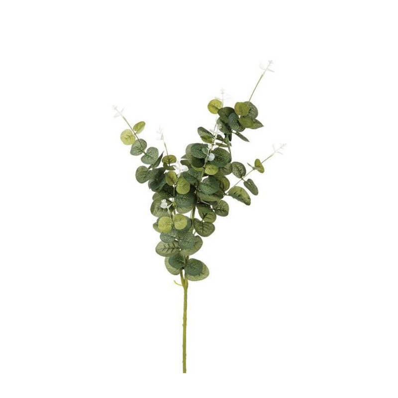 TIGE EUCALYPTUS H91 CM