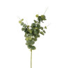 TIGE EUCALYPTUS H91 CM