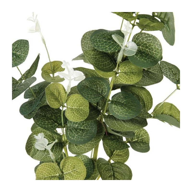 TIGE EUCALYPTUS H91 CM