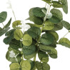 TIGE EUCALYPTUS H91 CM
