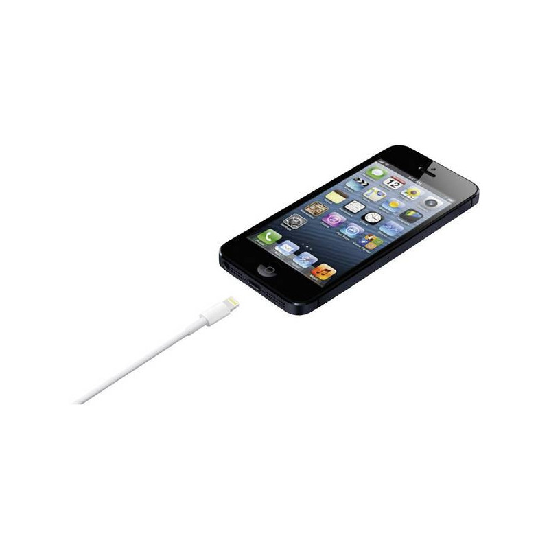 Câble - APPLE - ME291ZMA