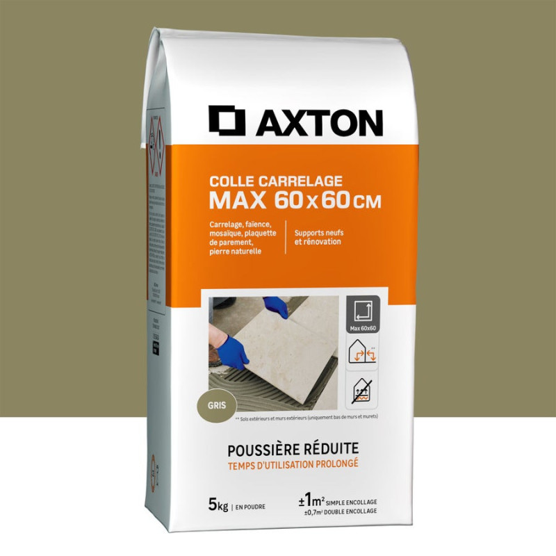 Colle en poudre poudre sol / mur gris AXTON 5KG