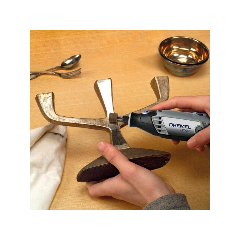 Outil De Précision Dremel 3000-5. 5 Accessoires Inclus