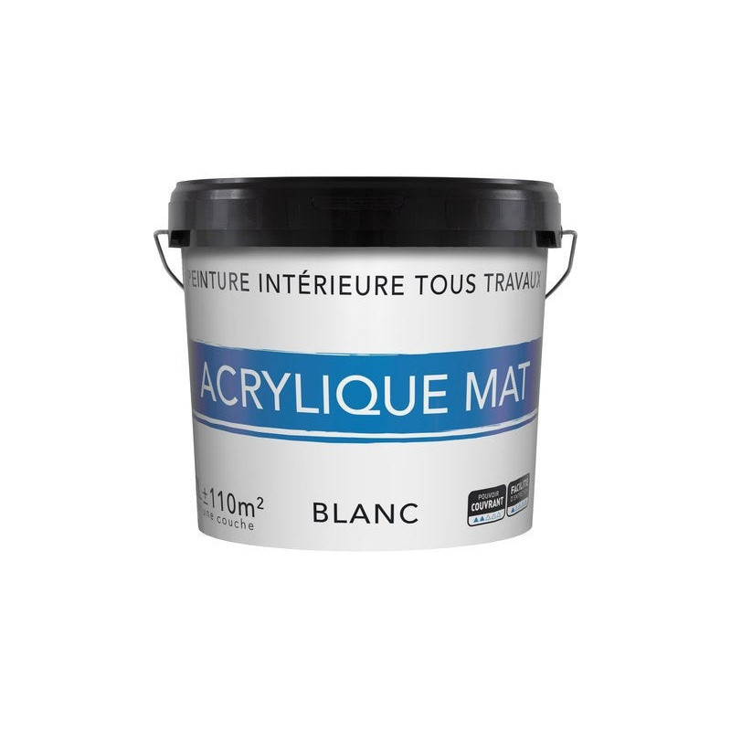 Peinture intérieure mur et plafond tous travaux. 12 L blanc mat