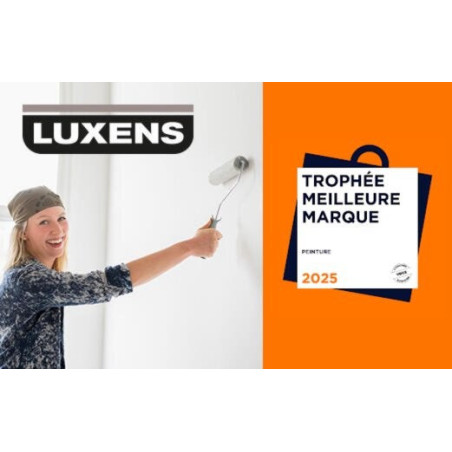 Peinture Mur Et Boiserie Luxens Rafraichir Blanc Satiné. 10 L