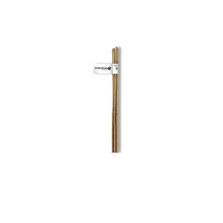 TUTEUR BAMBOU NATUREL HAUTEUR 1M80 DIAMETRE 12-14MM