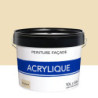 Peinture acrylique extérieure pour façade. 10 L ton pierre