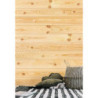 Lambris Bois pin mat brut ISB, L.200 x l.10 cm
