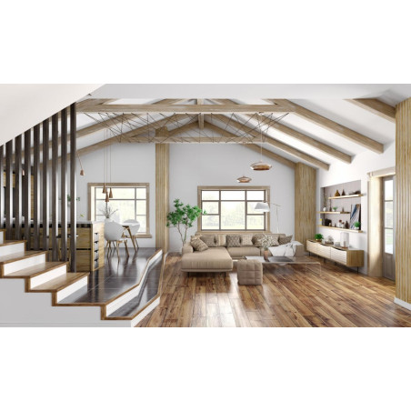 Traitement Boiserie Et Parquet Xylophene 1L