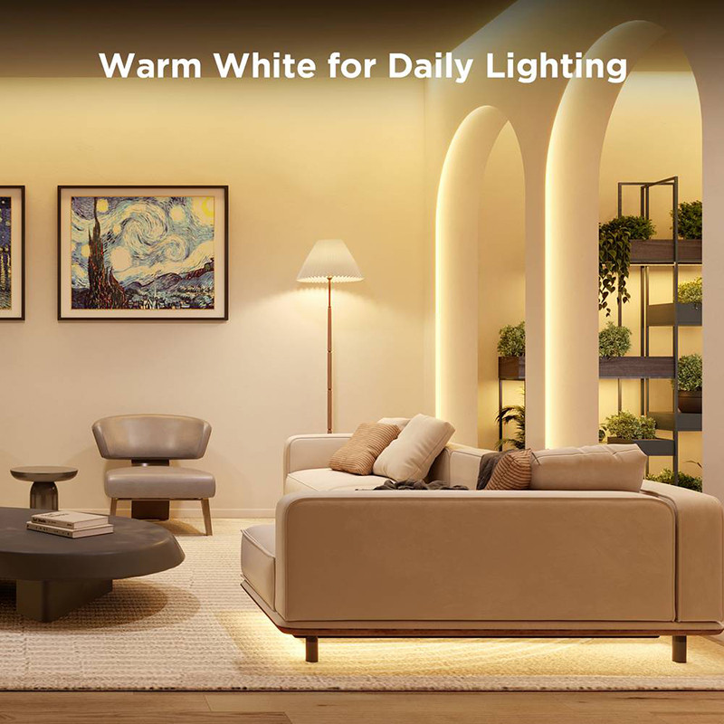 Ruban LED Strip Light RGBIC Wi-Fi + Bluetooth 3 m - GOVEE - 83209000014