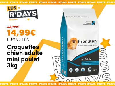 Croquettes chien adulte mini poulet 3kg - PRONUTEN | Ravate.com Image : Croquettes chien adulte mini poulet 3kg - PRONUTEN | Ravate.com