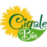 LA CIGALE