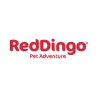 RED DINGO