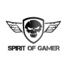 SPIRIT OF GAMER
