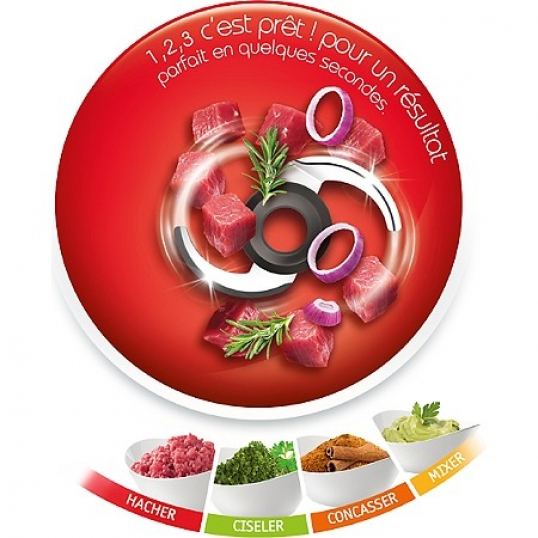 Hachoir électrique Moulinex Hache Mixe Viande Légumes Herbes Ail Oignons  Fruits 3045380016620
