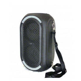 Enceinte lumineuse Bluetooth 400W Fonction Karaoké Noir - INOVALLEY -  INKA02BOWL 